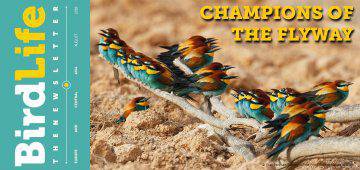 Champions of the Flyway – from dream to Game Changer?