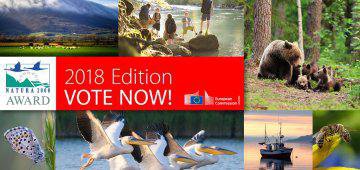 The Bird Bulletin: Europe & Central Asia
