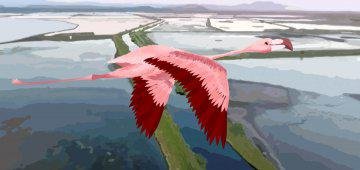 Save Salina: hotel complex threatens waterbird paradise