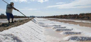 Spain's traditional saltpans: an unlikely bird haven